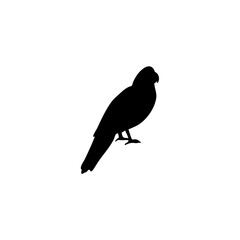 Parrot bird silhouette vector 