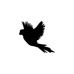 Parrot bird silhouette vector 