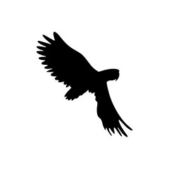 Parrot bird silhouette vector 