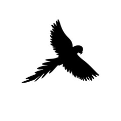 Parrot bird silhouette vector 