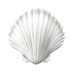 White seashell design