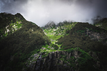 Beautiful landscape shot of a gorgeous Himalayan mountain valley with dense forests during monsoon season