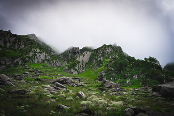 Beautiful landscape shot of a gorgeous Himalayan mountain valley with dense forests during monsoon...