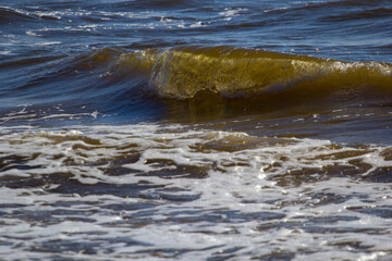 Ocean Wave Close-Up With Foamy Edge in Dynamic Sunlight