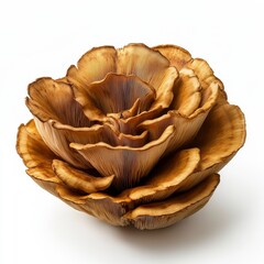 Obraz premium Beautiful Brown Mushroom Arrangement in Artistic Floral Shape