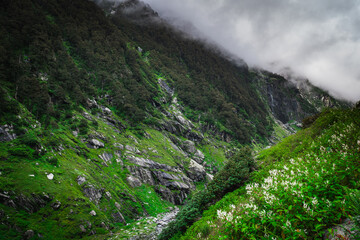Beautiful landscape shot of a gorgeous Himalayan mountain valley with dense forests during monsoon season