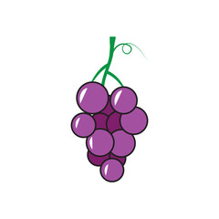 Grapes logo. Isolated grapes on white background