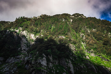 Beautiful landscape shot of a gorgeous Himalayan mountain valley with dense forests during monsoon...