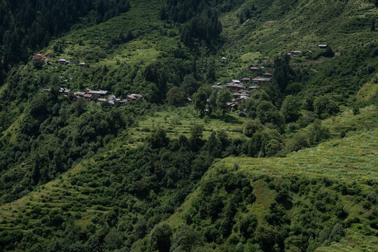 Shot of village in Barot valley in Himachal Pradesh. It is known for its stunning natural beauty,  Located on the banks of the Uhl River, famous for Trekking, camping, trout fishing and paragliding