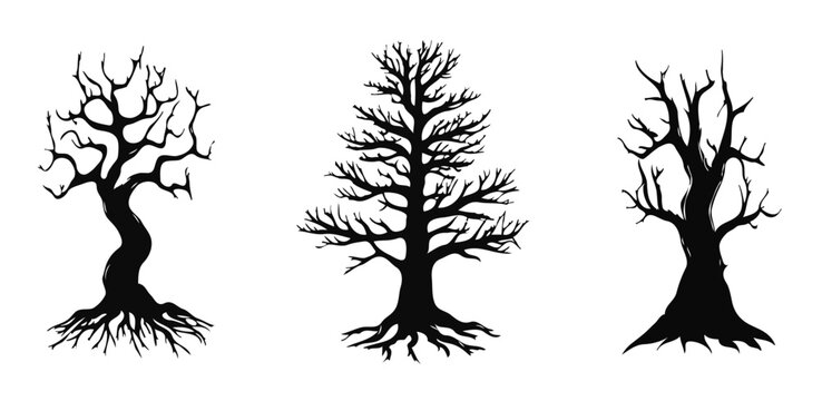 dead tree silhouette vector
