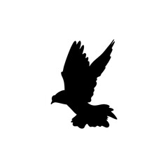 Flying Dove Birds Silhouettes