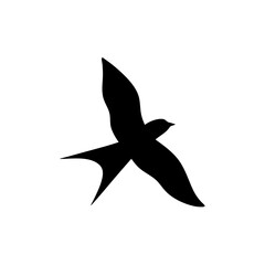 Swallow bird silhouette 