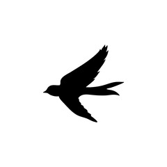 Swallow bird silhouette 