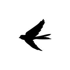 Swallow bird silhouette 