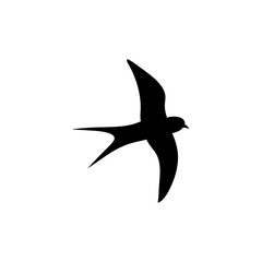 Swallow bird silhouette 