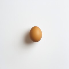 Single Brown Egg on Clean White Background for Culinary Projects