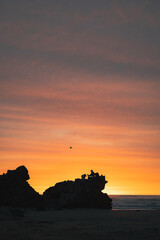 Silhouette of a person sitting on a rock at the beach during a beautiful orange sunrise.