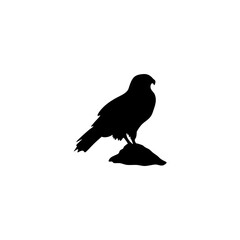 Eagle silhouette vector icon