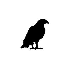 Eagle silhouette vector icon