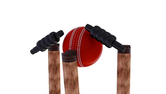 Cricket wooden stumps and cricket leather ball