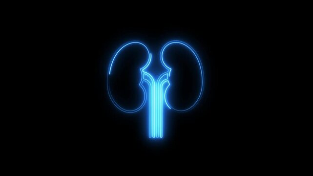 Glowing neon renal icon 4k isolated on black background. HD Video motion graphic animation
