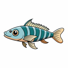 fish on a white background