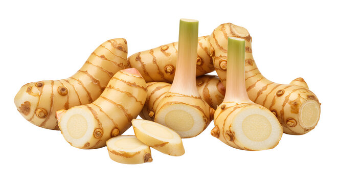 Fresh galangal roots arranged artistically on a white background, showcasing their unique shape and texture for culinary use