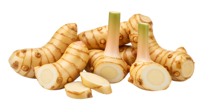 Fresh galangal roots arranged artistically on a white background, showcasing their unique shape and texture for culinary use