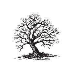 Silhouette tree without leaves