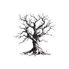 Silhouette tree without leaves
