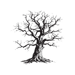 Fototapeta premium Silhouette tree without leaves