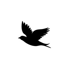 Obraz premium Flying bird silhouettes