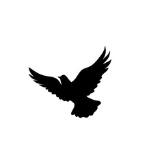 Flying bird silhouettes