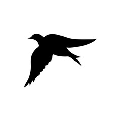 Flying bird silhouettes