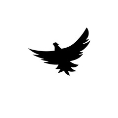 Flying bird silhouettes