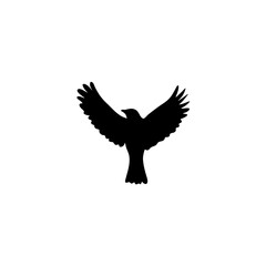Flying bird silhouettes