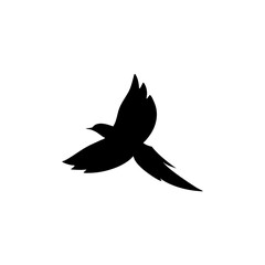 Flying bird silhouettes