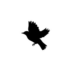 Flying bird silhouettes