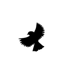 Flying bird silhouettes