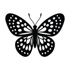butterfly vector illustration