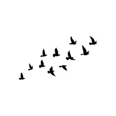 Flying birds silhouette flock. Vector illustration 