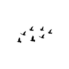 Flying birds silhouette flock. Vector illustration 