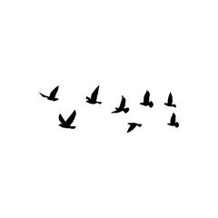 Flying birds silhouette flock. Vector illustration 