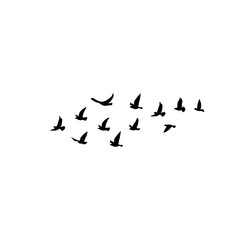 Flying birds silhouette flock. Vector illustration 
