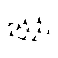 Flying birds silhouette flock. Vector illustration 
