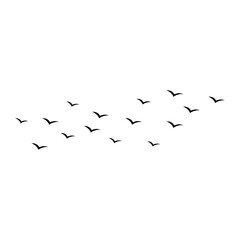 Flying birds silhouette flock. Vector illustration 