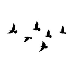 Fototapeta premium Flying birds silhouette flock. Vector illustration 