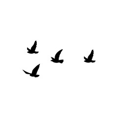 Fototapeta premium Flying birds silhouette flock. Vector illustration 
