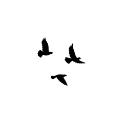 Obraz premium Flying birds silhouette flock. Vector illustration 