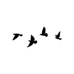 Flying birds silhouette flock. Vector illustration 